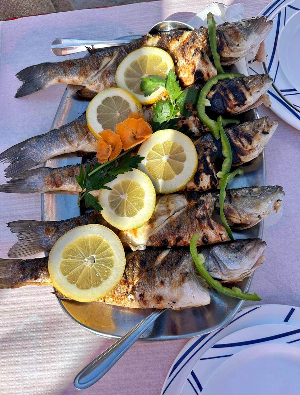 Robalo z grilla nad oceanem w algarve