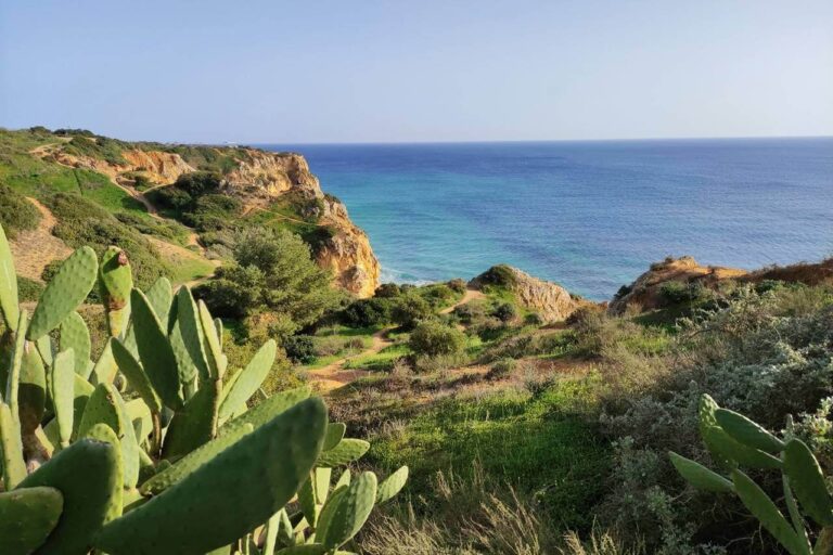 szlak z ponta de piedade w strone praia de luz